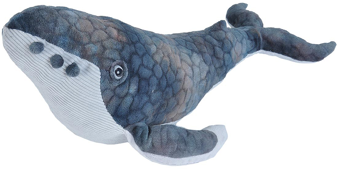 Knölval, 38cm från Wild Republic